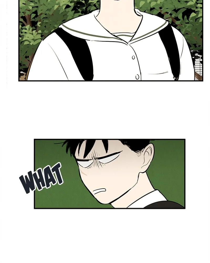 Read After School Lessons for Unripe Apples chapter 74 image 37 on Lezhin