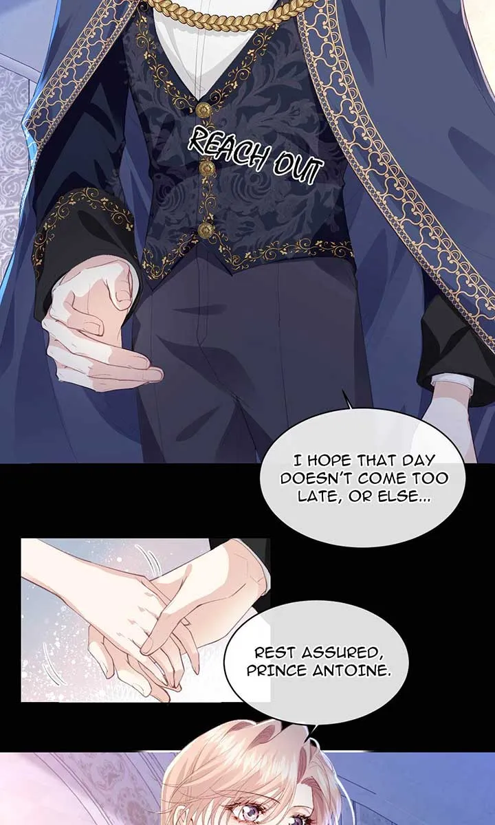 After The Female Lead Awakens Chapter 36 page 41 - 