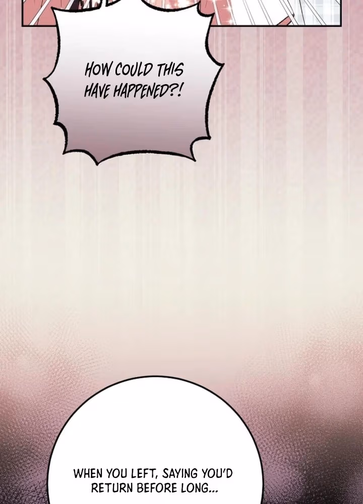 After The Transmigrator Left Chapter 15 page 12 - 