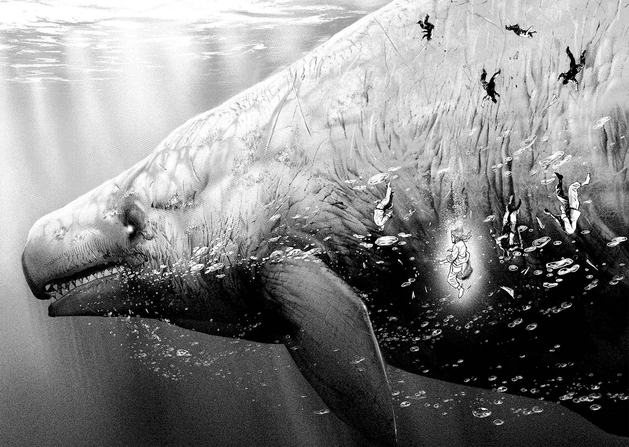 Read Ahab chapter 1 image 25 on Lezhin