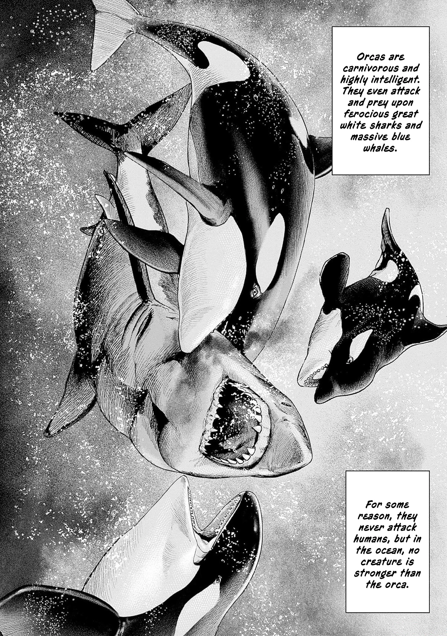 Read Ahab chapter 2 image 44 on Lezhin