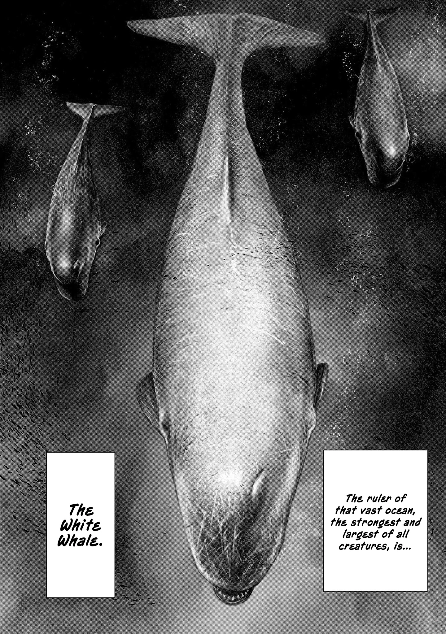 Read Ahab chapter 3 image 1 on Lezhin