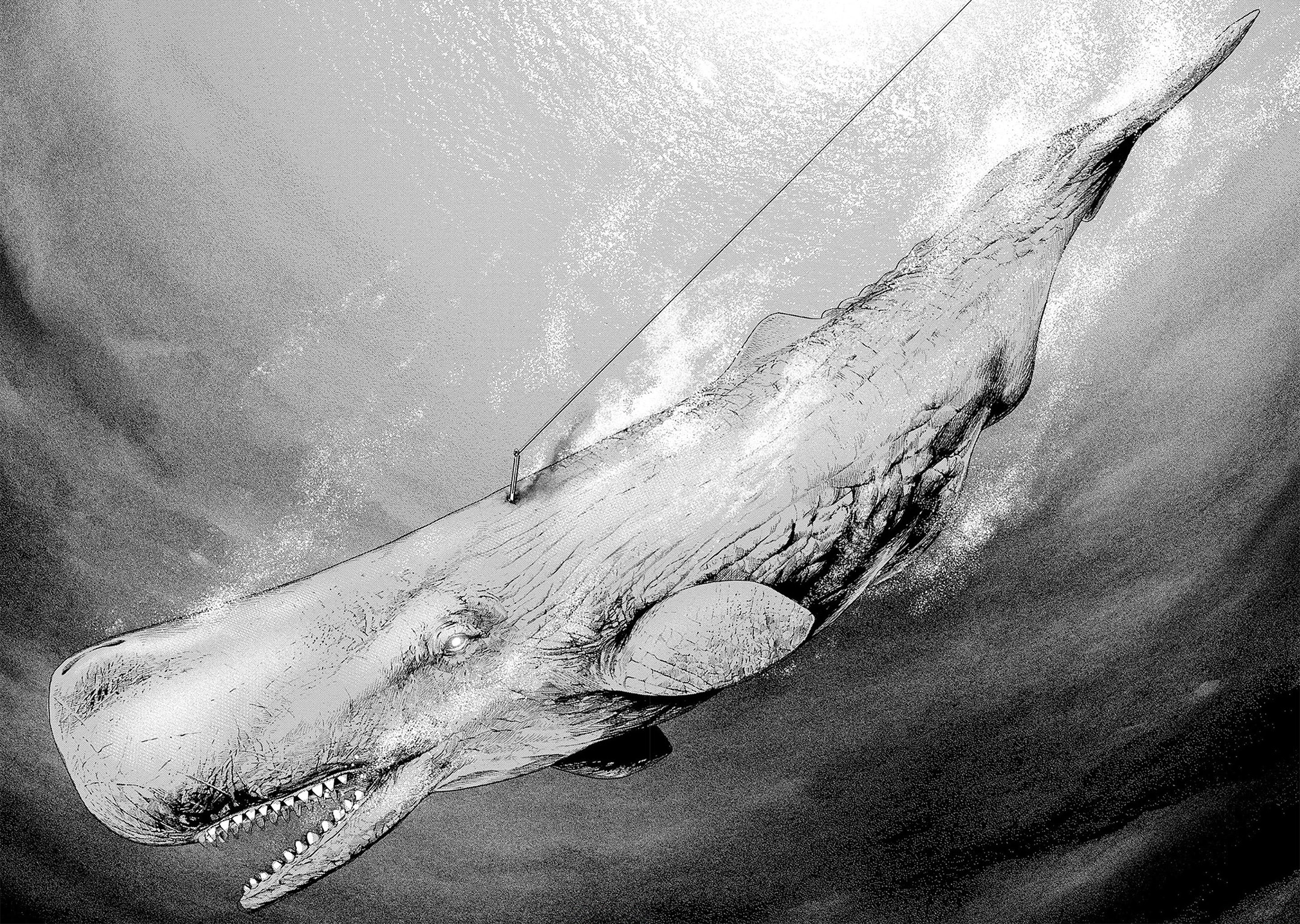 Read Ahab chapter 3 image 34 on Lezhin
