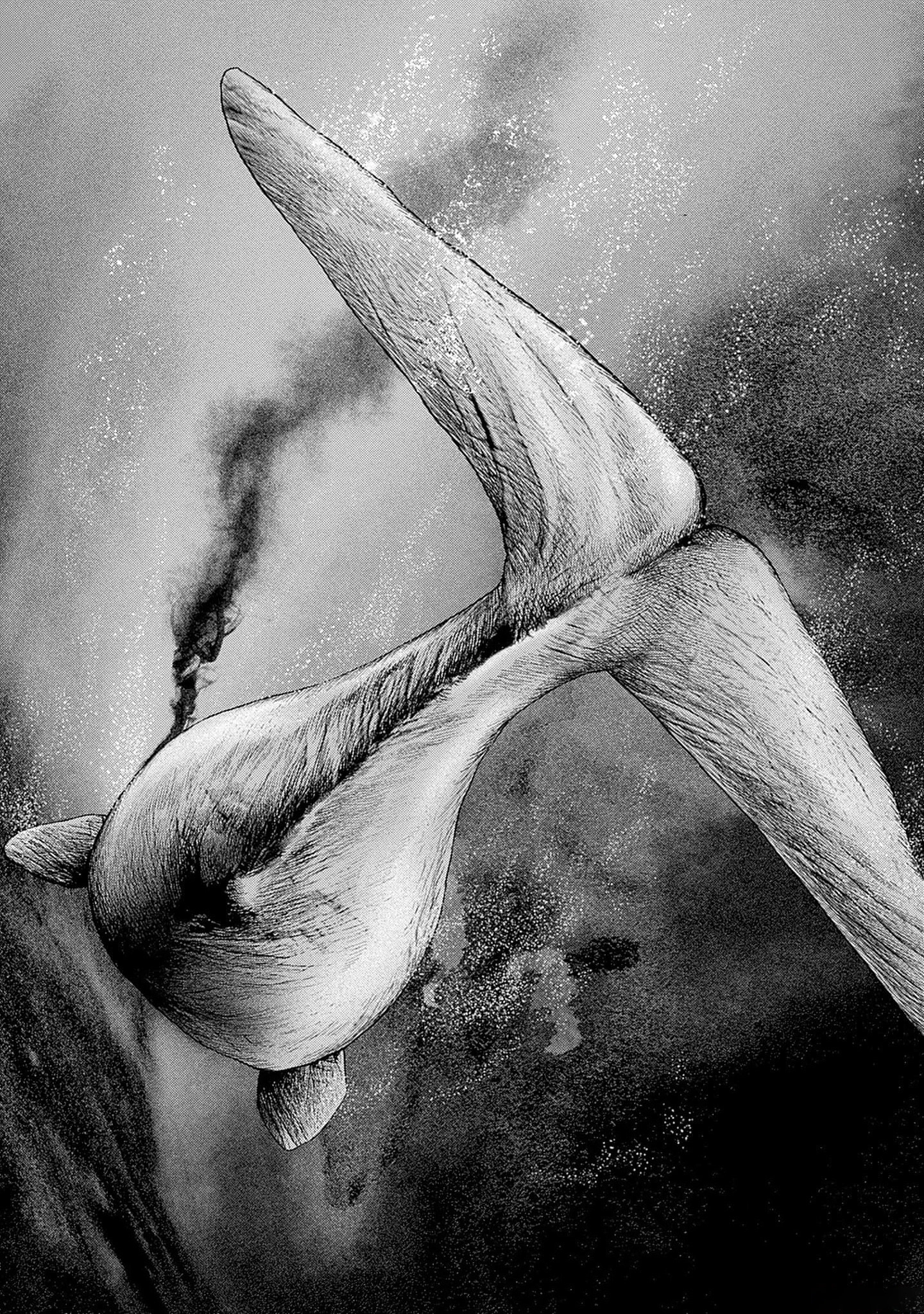 Read Ahab chapter 5 image 16 on Lezhin