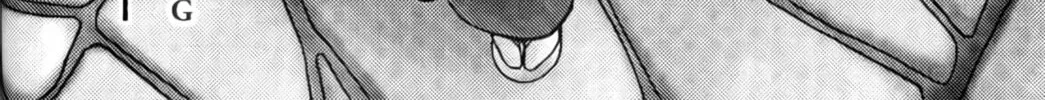 Read Ai Yori Aoshi chapter 8 image 1 on Lezhin