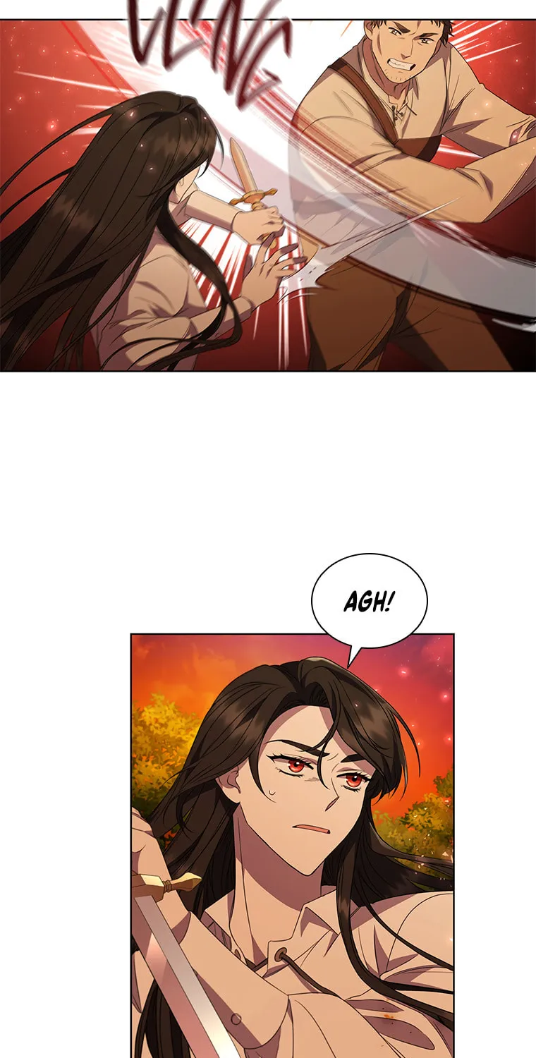 Read Aideen chapter 38 image 25 on Lezhin