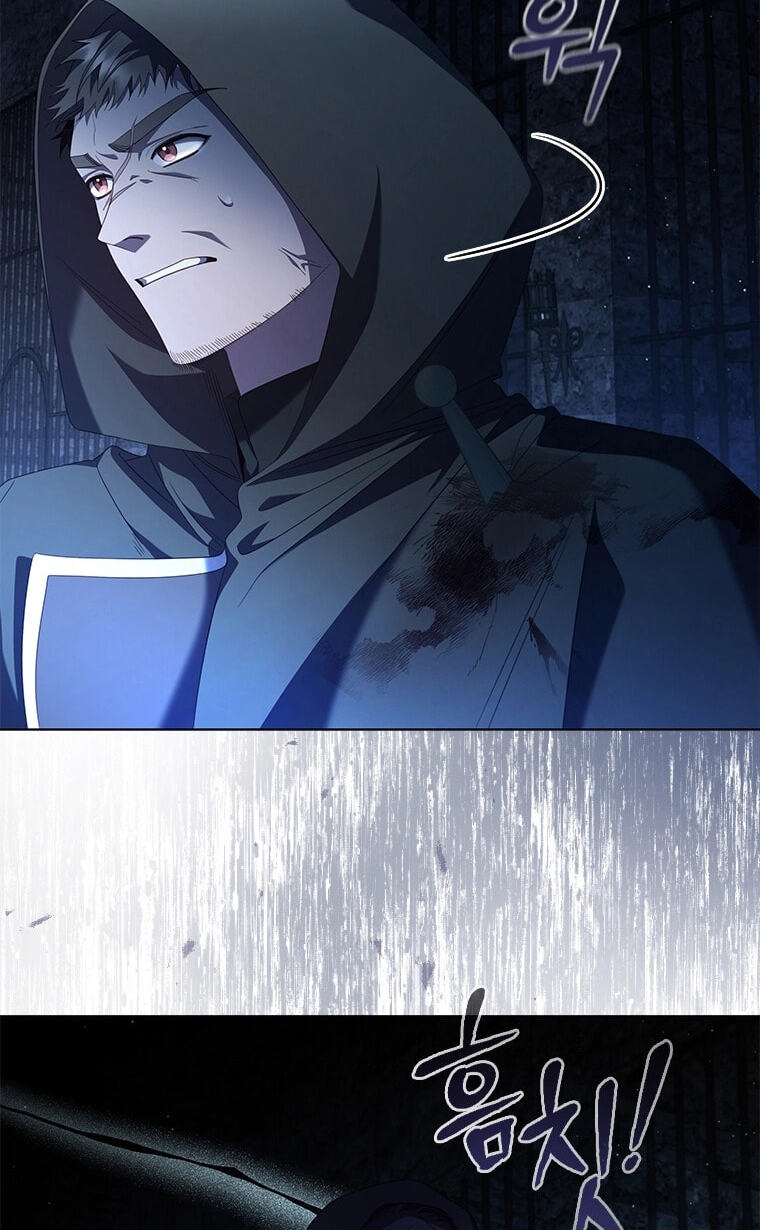 Read Aideen chapter 77 image 28 on Lezhin