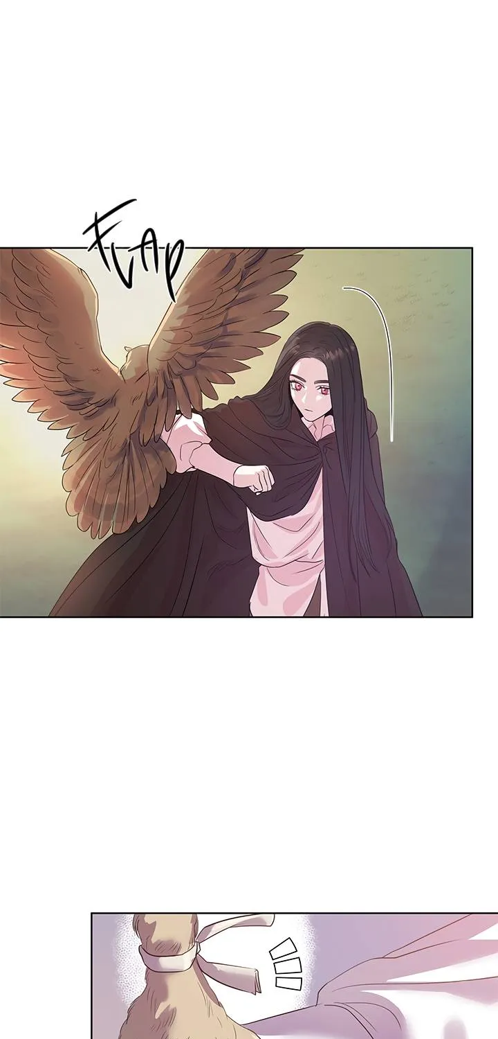 Read Aidin chapter 35 image 30 on Lezhin