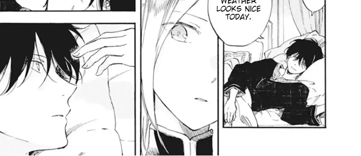 Read Akagami No Shirayukihime chapter 3.5 image 3 on Lezhin