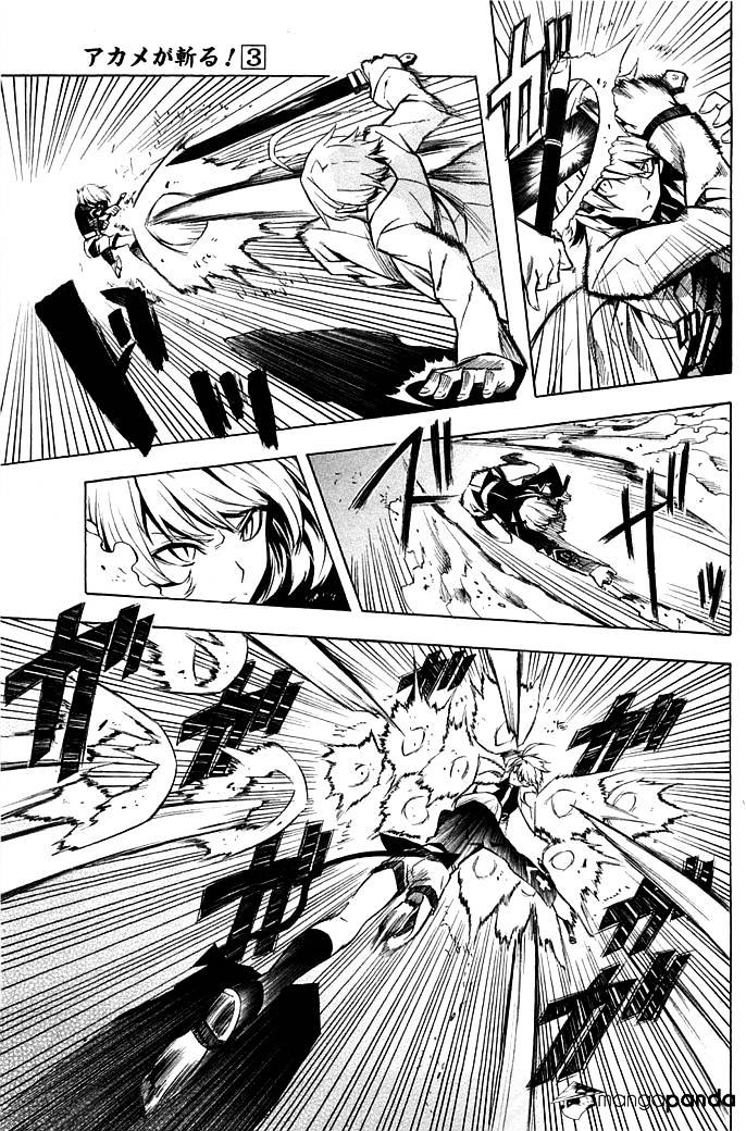 Read Akame ga Kill! chapter 13 image 10 on Lezhin