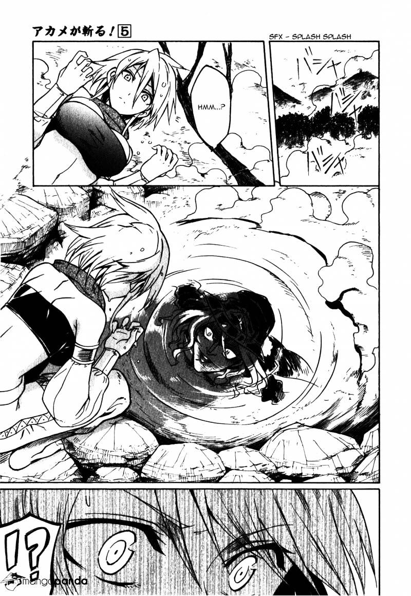 Read Akame ga Kill! chapter 20 image 4 on Lezhin
