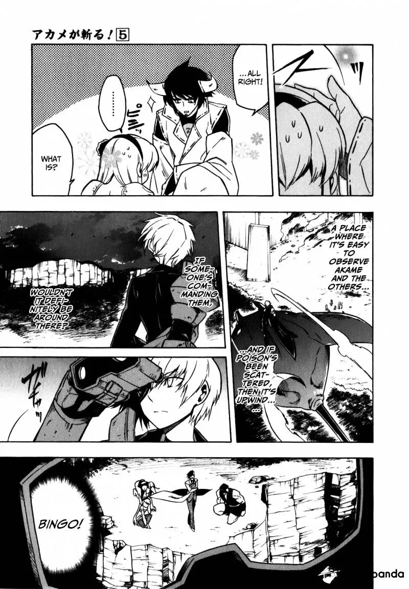 Read Akame ga Kill! chapter 21 image 27 on Lezhin