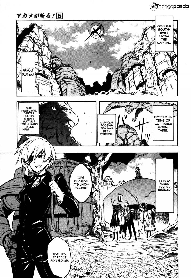Read Akame ga Kill! chapter 22 image 4 on Lezhin