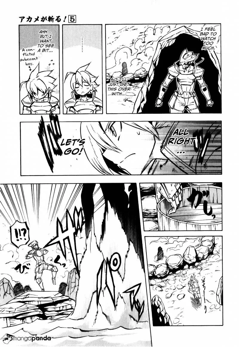 Read Akame ga Kill! chapter 23 image 26 on Lezhin