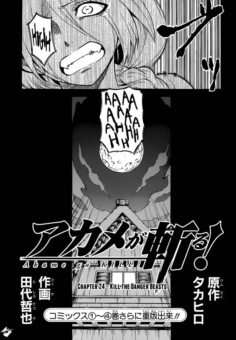 Read Akame ga Kill! chapter 24 image 2 on Lezhin