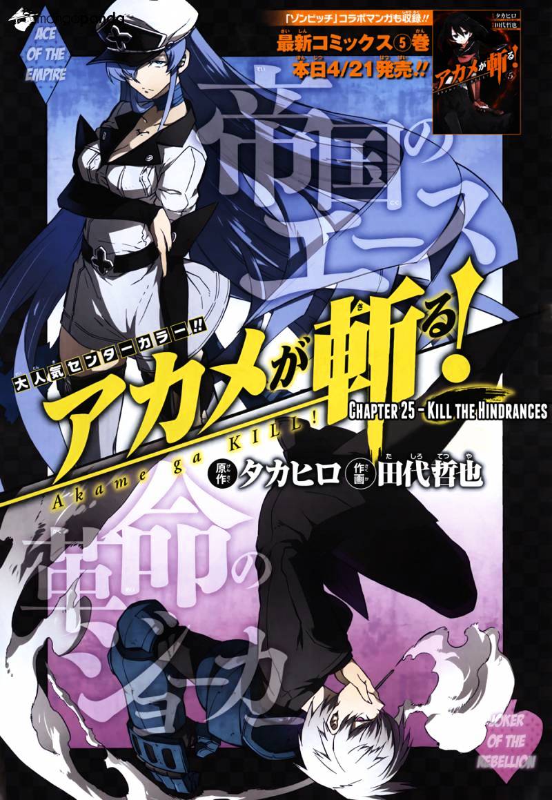 Read Akame ga Kill! chapter 25 image 2 on Lezhin