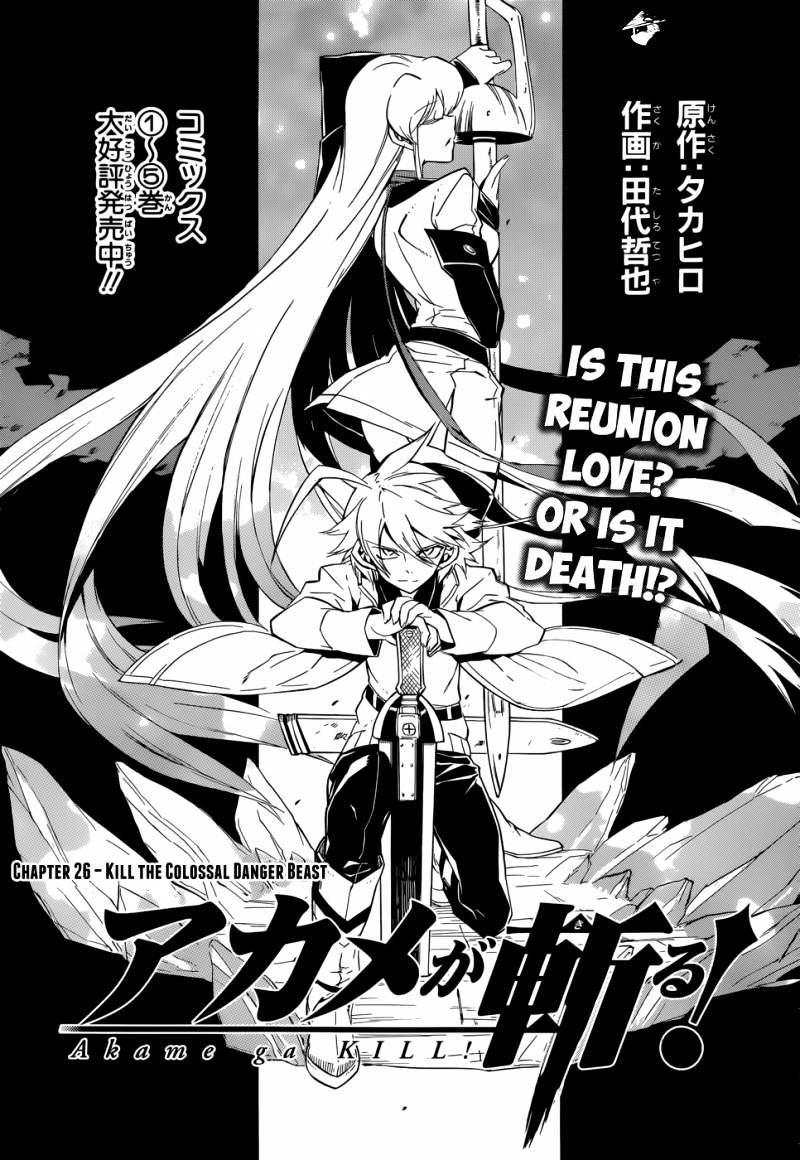 Read Akame ga Kill! chapter 26 image 2 on Lezhin