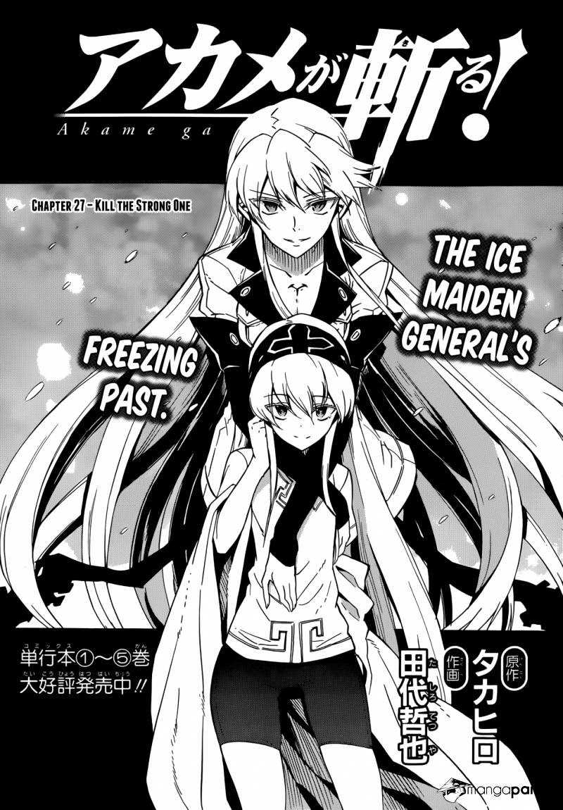 Read Akame ga Kill! chapter 27 image 2 on Lezhin