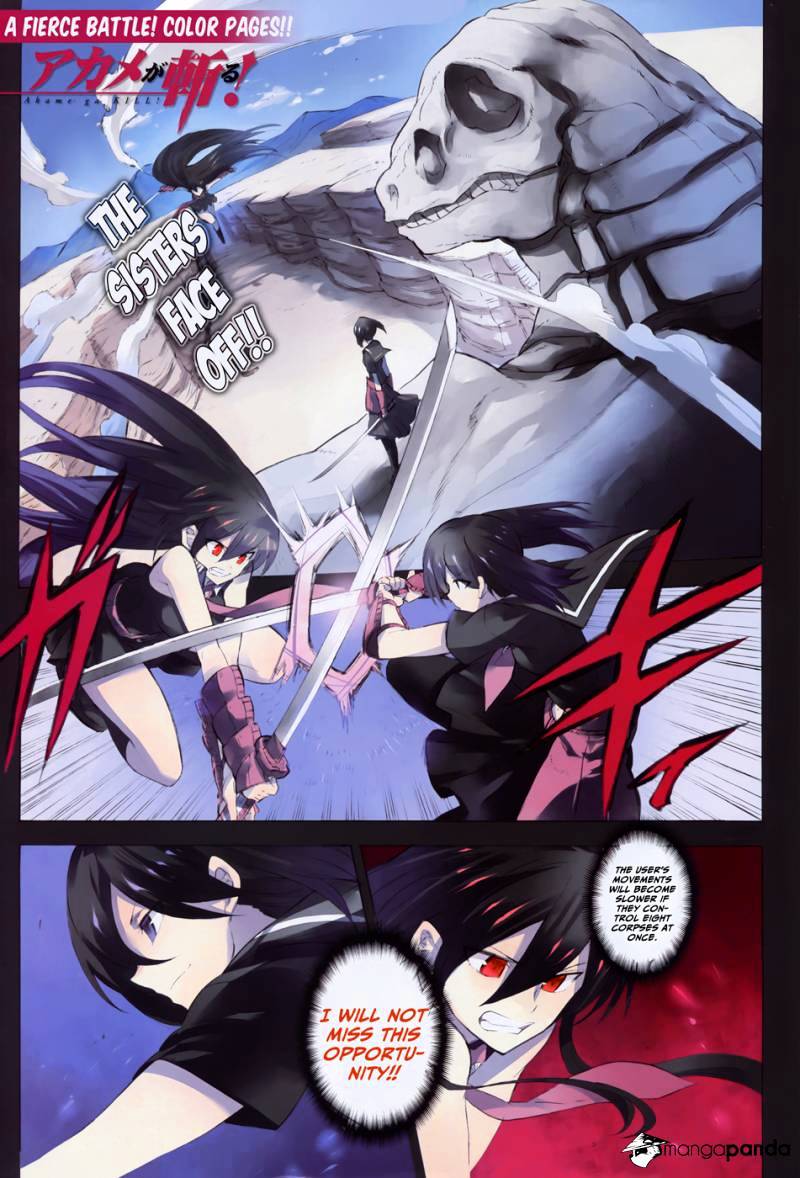 Read Akame ga Kill! chapter 30 image 1 on Lezhin