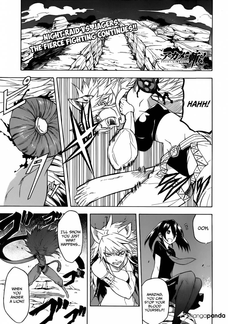 Read Akame ga Kill! chapter 31 image 0 on Lezhin