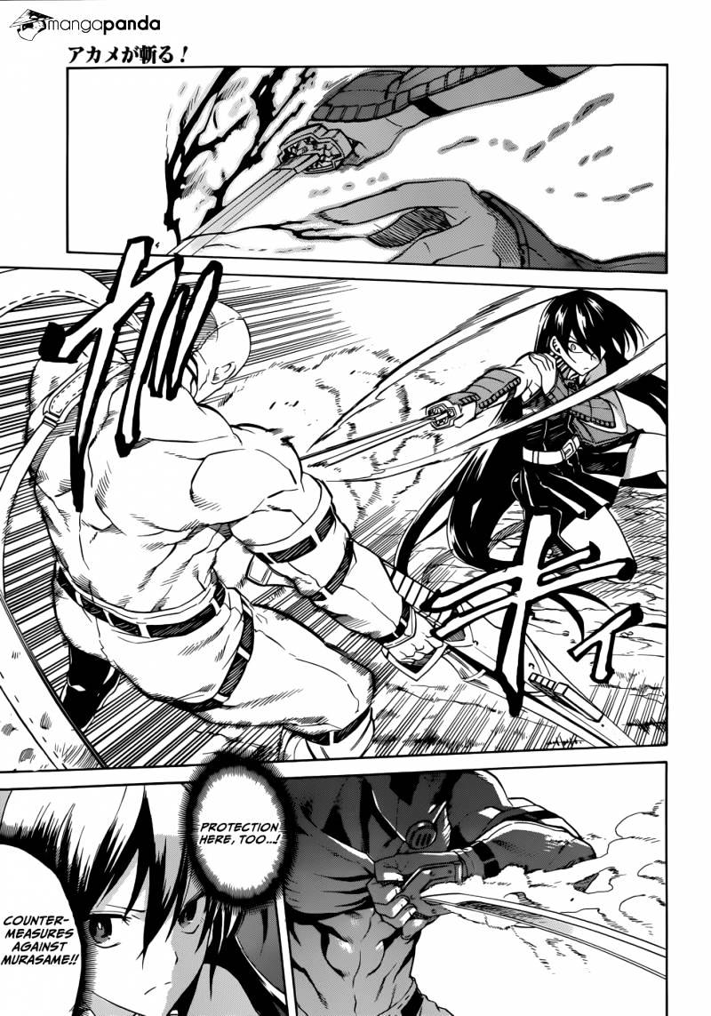 Read Akame ga Kill! chapter 31 image 6 on Lezhin