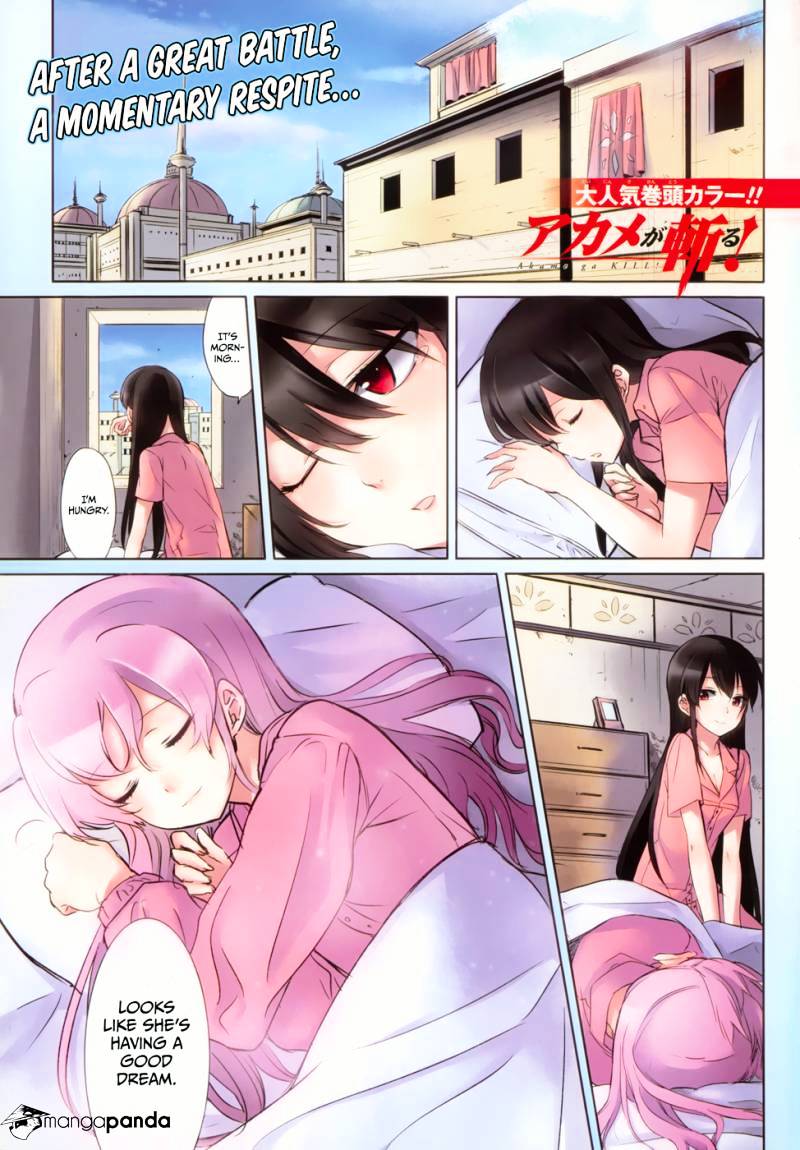 Read Akame ga Kill! chapter 39 image 0 on Lezhin