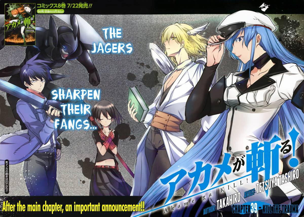 Read Akame ga Kill! chapter 39 image 1 on Lezhin