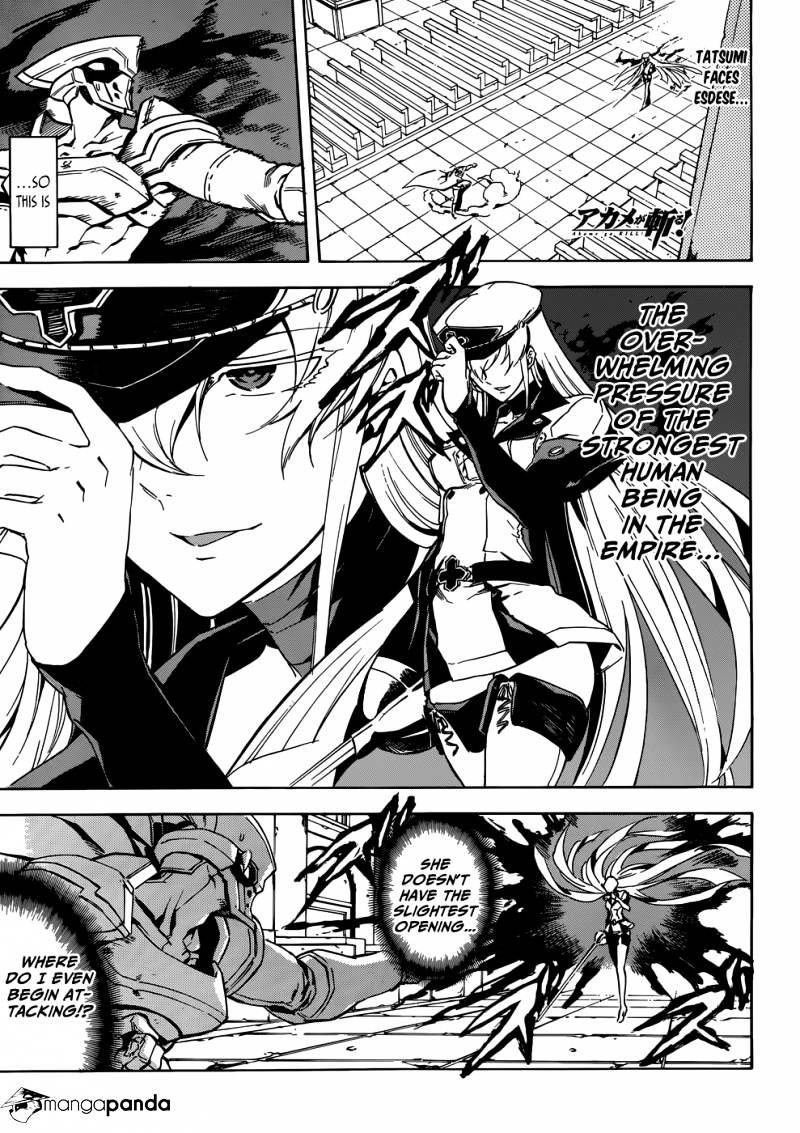 Read Akame ga Kill! chapter 42 image 0 on Lezhin
