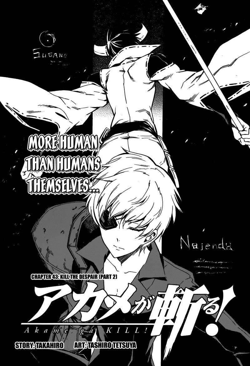 Read Akame ga Kill! chapter 43 image 3 on Lezhin