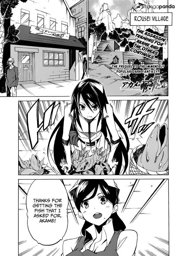 Read Akame ga Kill! chapter 45 image 0 on Lezhin