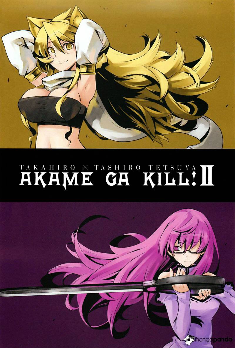 Read Akame ga Kill! chapter 5 image 3 on Lezhin