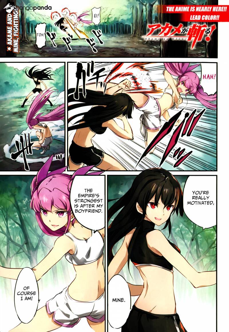 Read Akame ga Kill! chapter 50 image 2 on Lezhin
