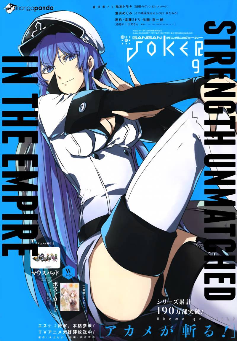 Read Akame ga Kill! chapter 52 image 39 on Lezhin