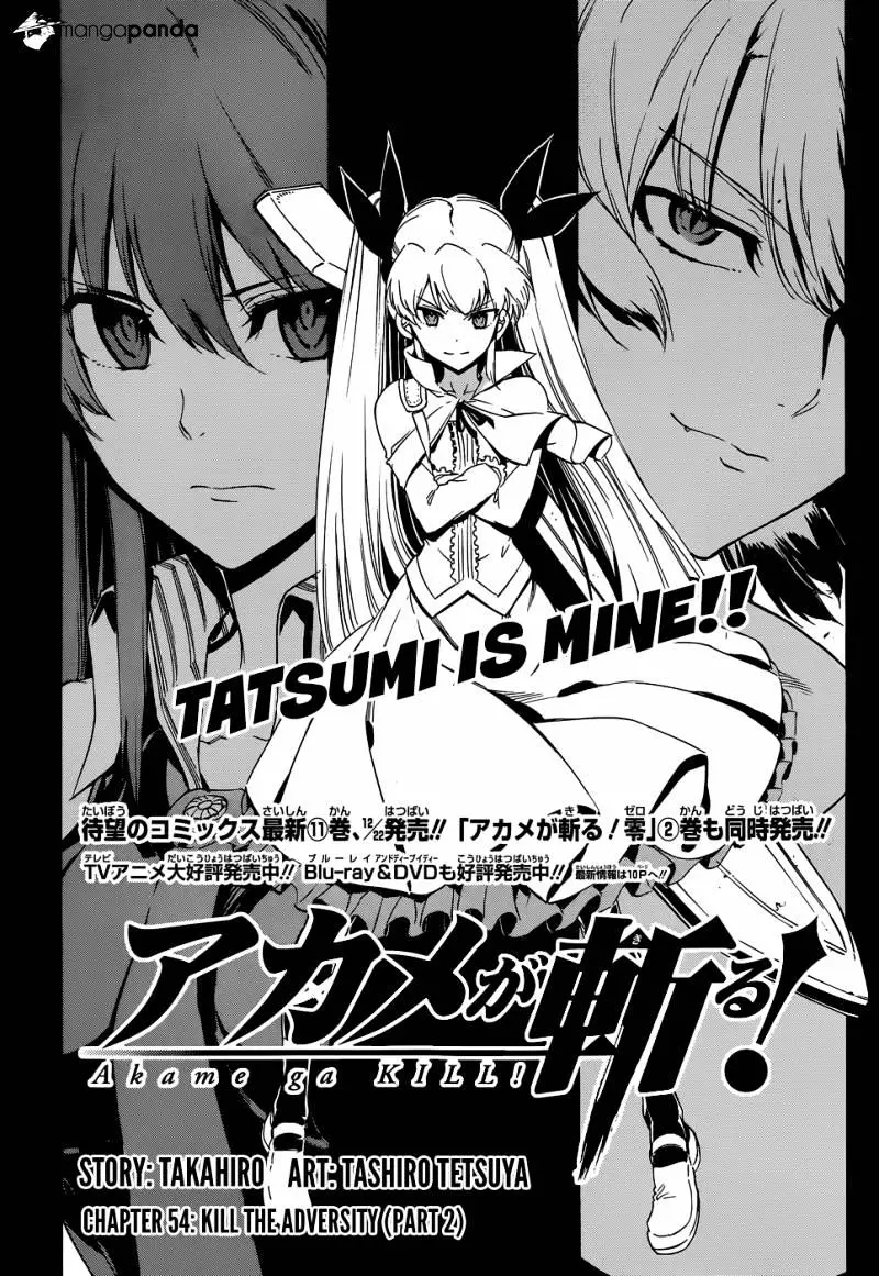 Read Akame ga Kill! chapter 54 image 2 on Lezhin