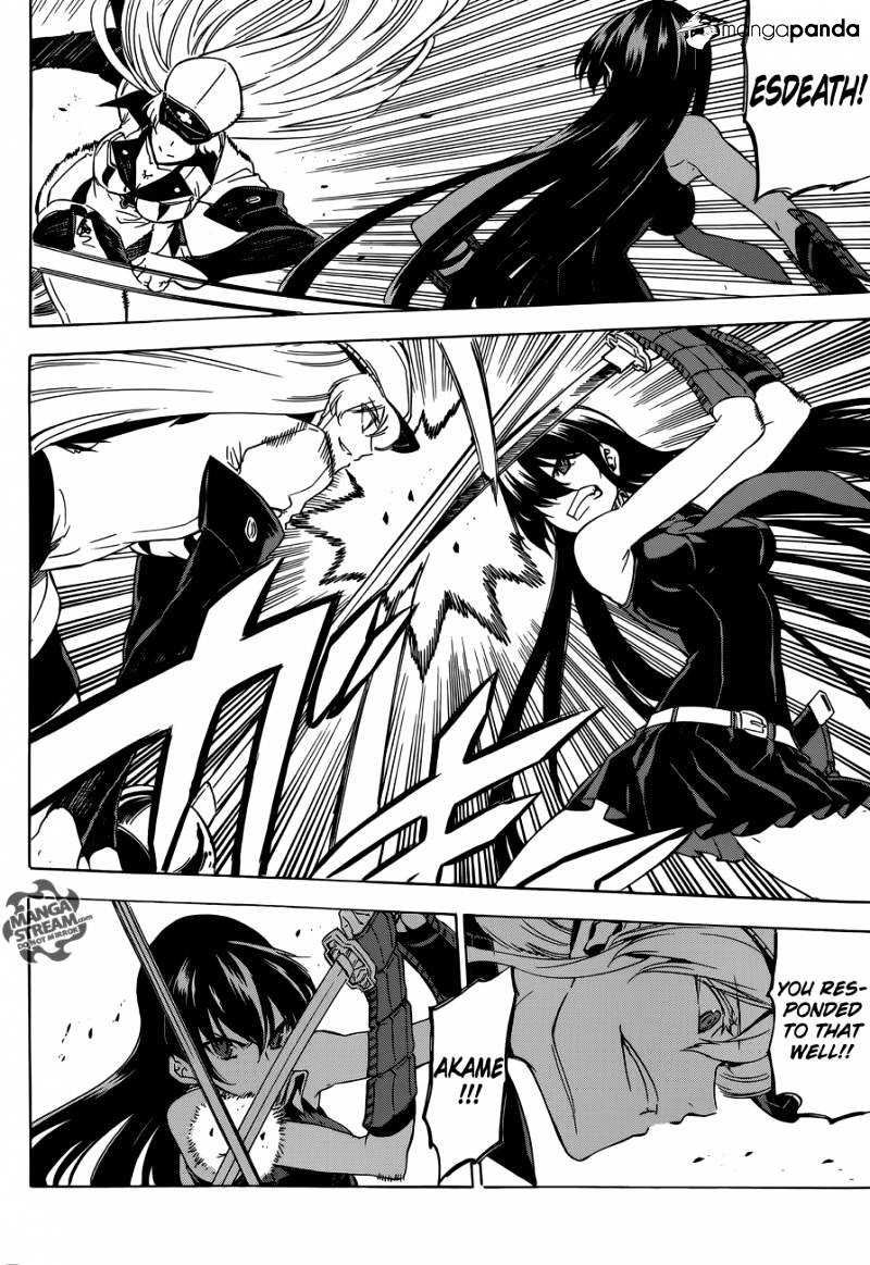 Read Akame ga Kill! chapter 55 image 6 on Lezhin