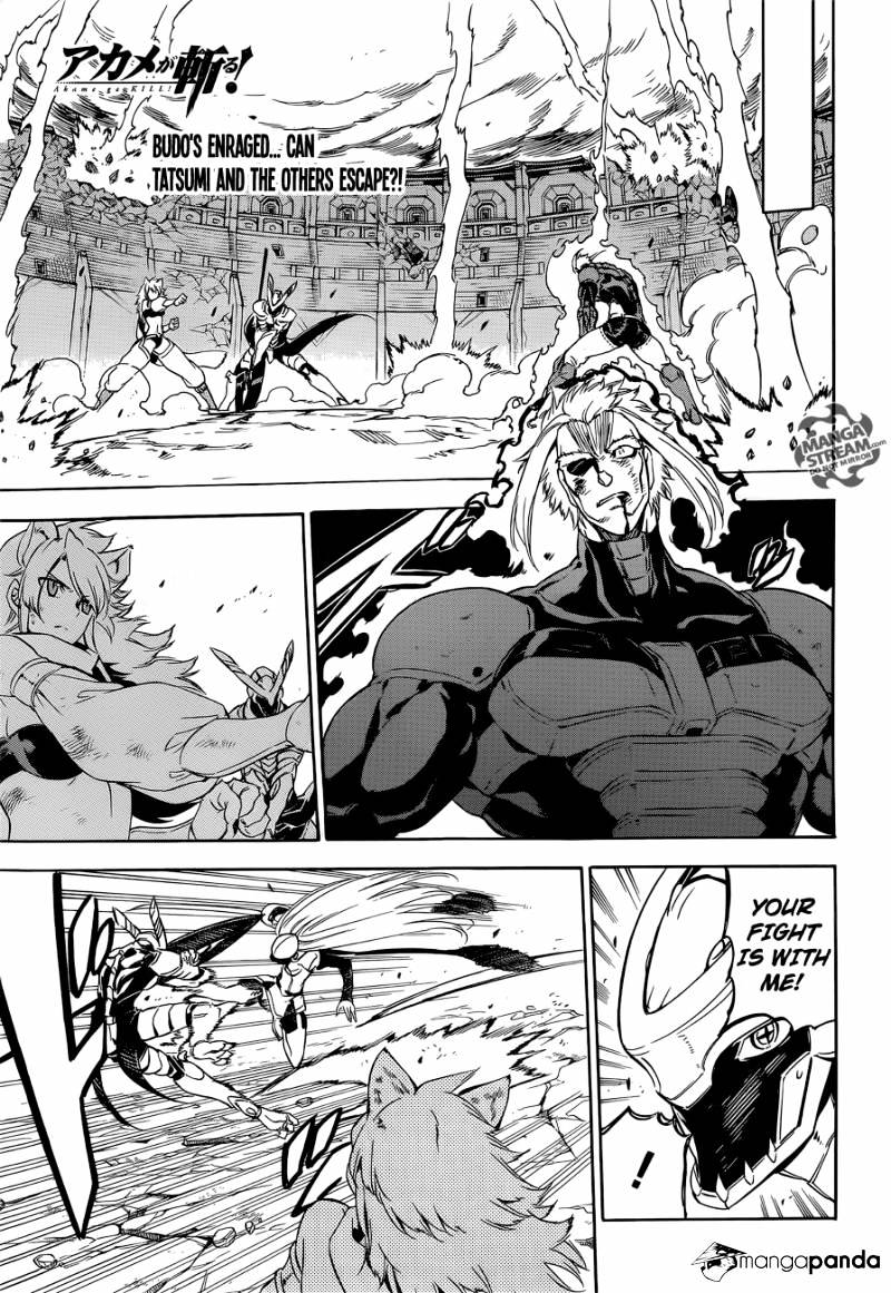 Read Akame ga Kill! chapter 56 image 0 on Lezhin