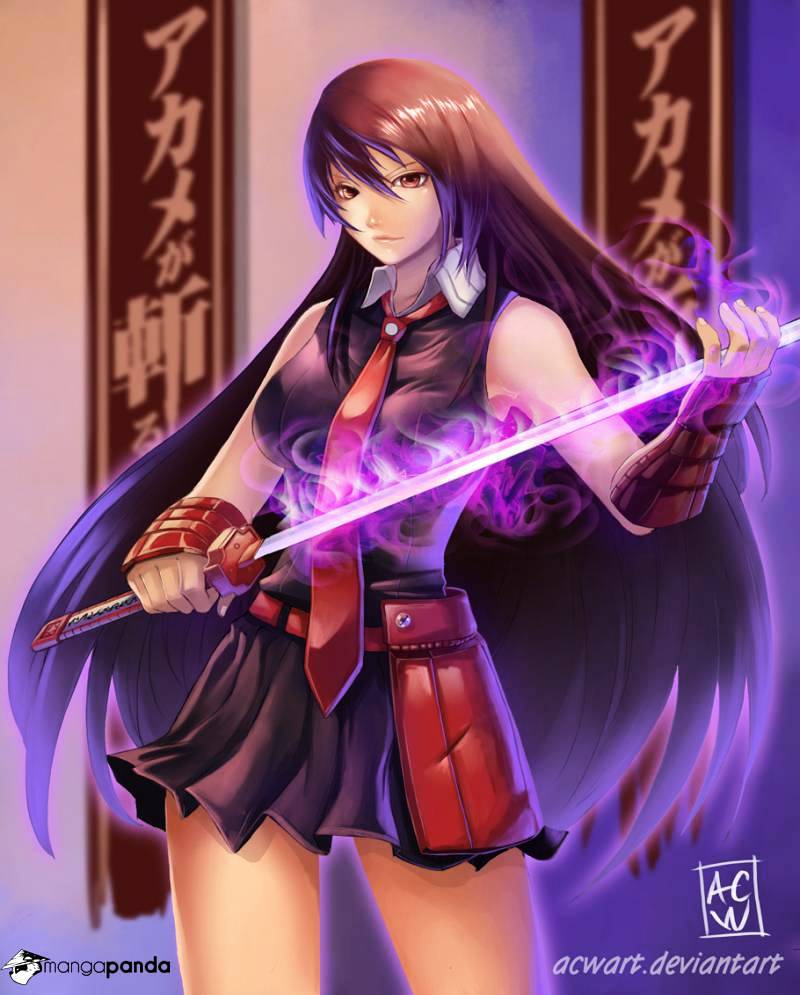 Read Akame ga Kill! chapter 56 image 1 on Lezhin