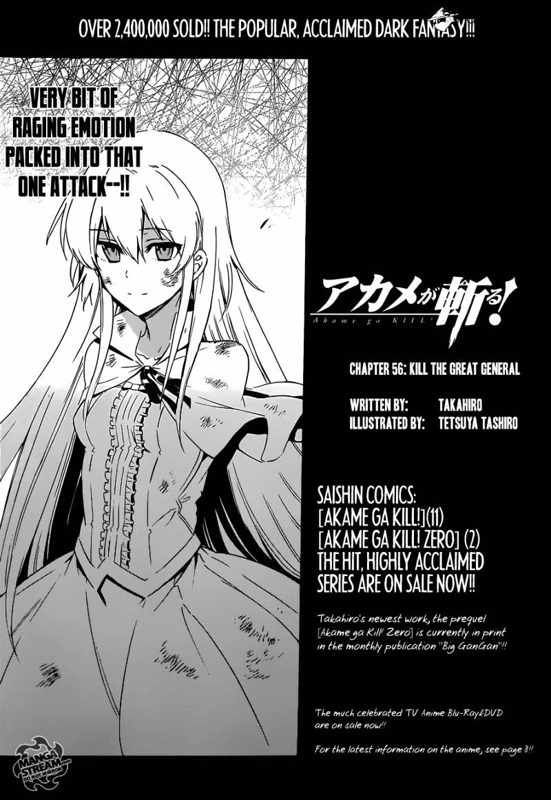 Read Akame ga Kill! chapter 56 image 17 on Lezhin