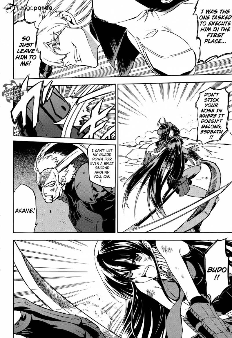 Read Akame ga Kill! chapter 56 image 2 on Lezhin