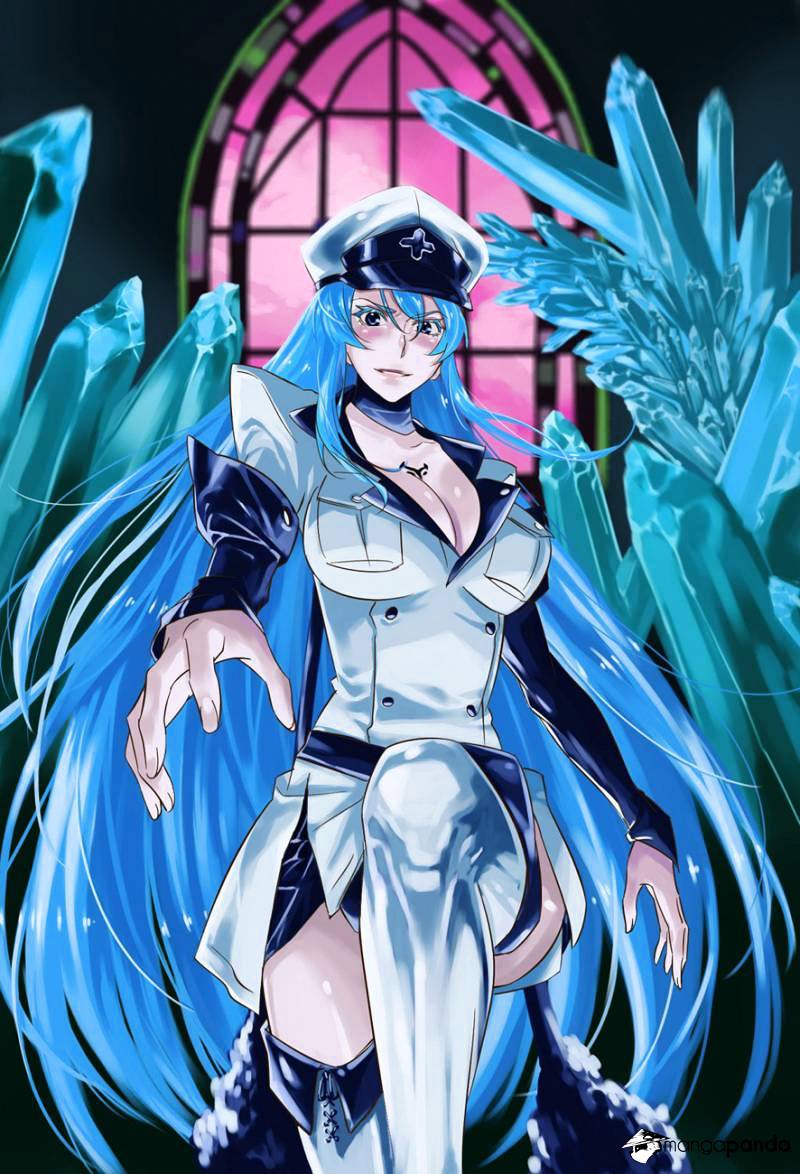 Read Akame ga Kill! chapter 57 image 39 on Lezhin