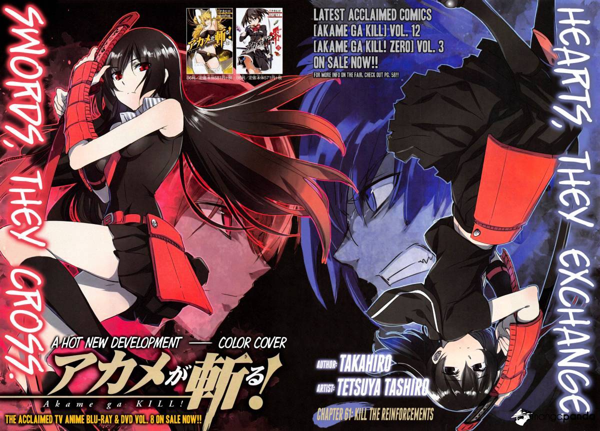 Read Akame ga Kill! chapter 61 image 2 on Lezhin