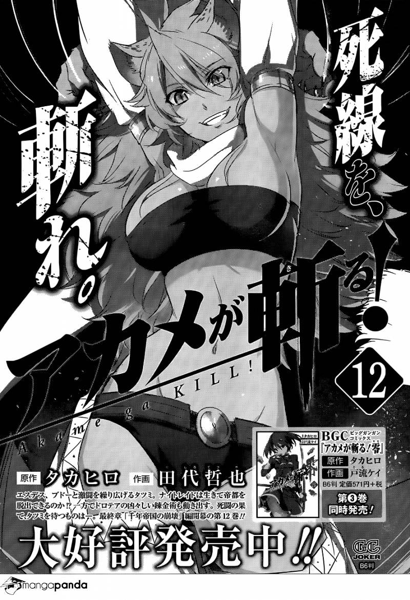 Read Akame ga Kill! chapter 62 image 48 on Lezhin