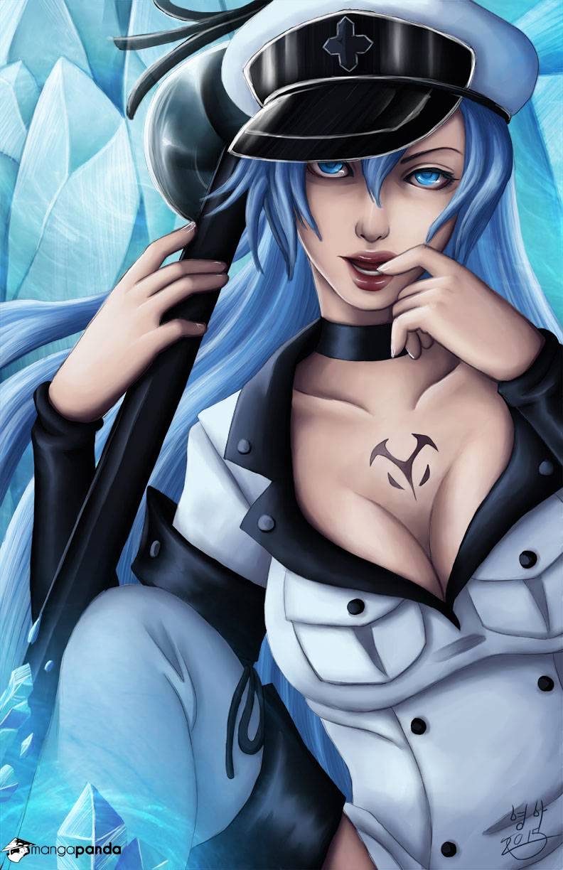 Read Akame ga Kill! chapter 64 image 3 on Lezhin