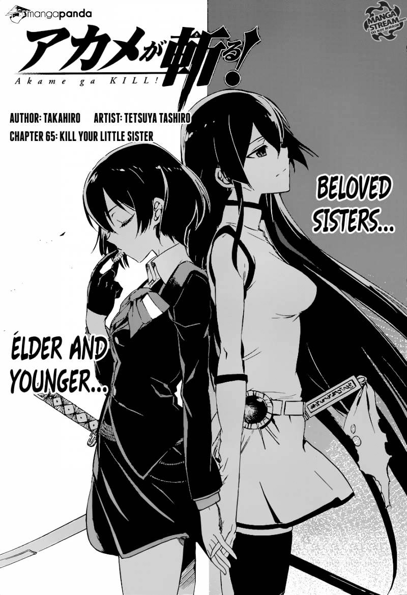 Read Akame ga Kill! chapter 65 image 4 on Lezhin