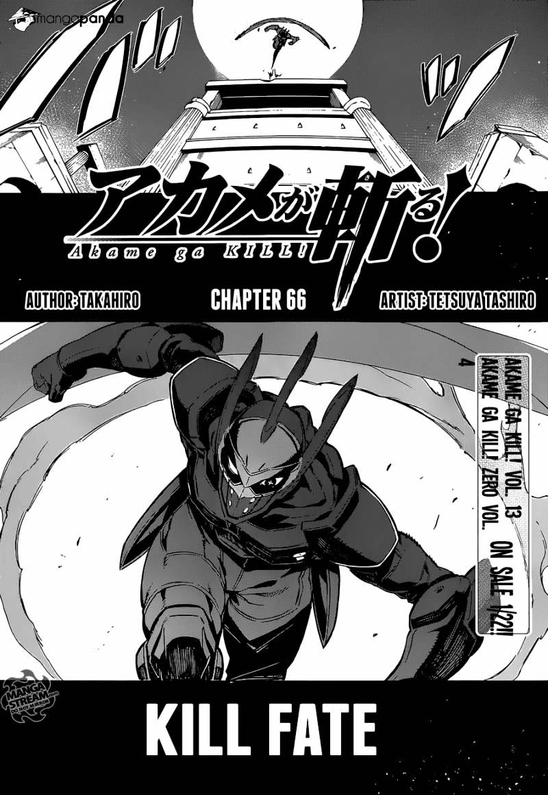 Read Akame ga Kill! chapter 66 image 4 on Lezhin