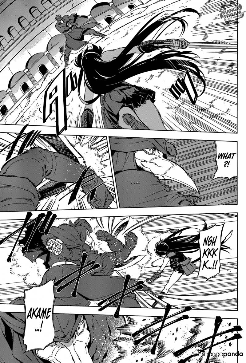 Read Akame ga Kill! chapter 70 image 16 on Lezhin