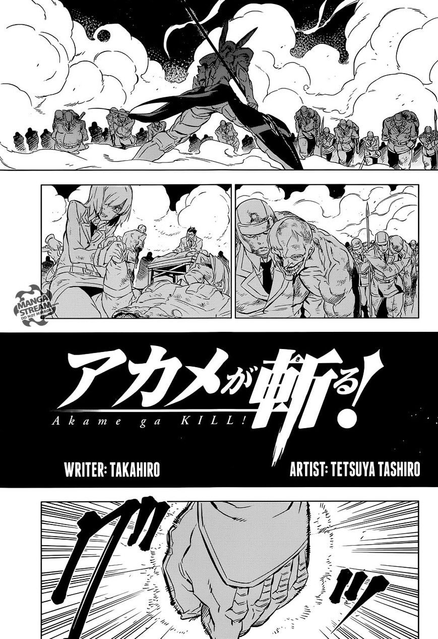 Read Akame ga Kill! chapter 71 image 5 on Lezhin