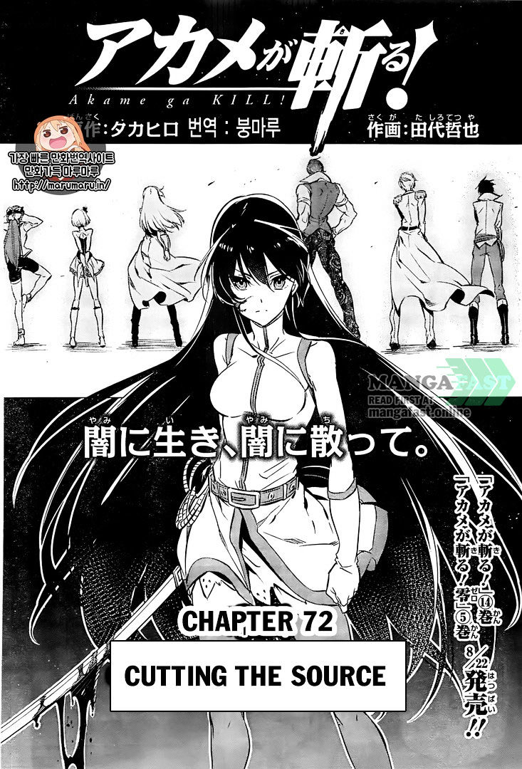 Read Akame ga Kill! chapter 72 image 3 on Lezhin