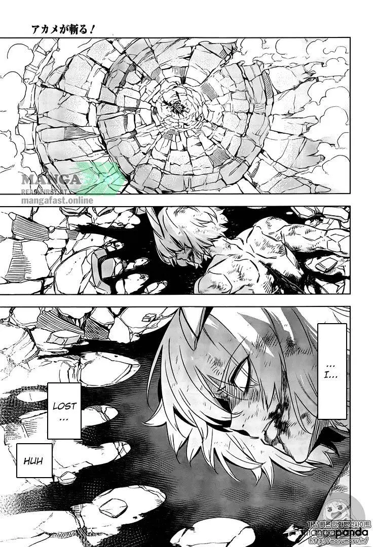 Read Akame ga Kill! chapter 73 image 18 on Lezhin