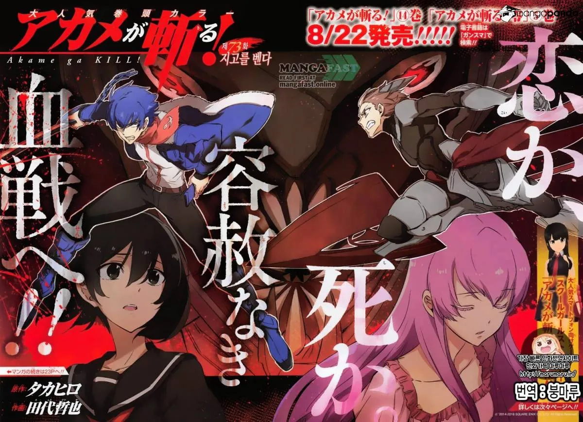 Read Akame ga Kill! chapter 73 image 2 on Lezhin